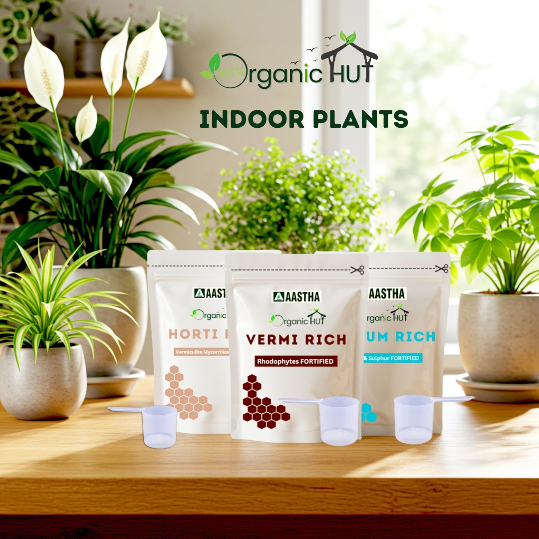 Ultimate Guide to Backyard Gardening & Indoor Plant Care 